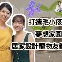 打造毛小孩的夢想家園：居家設計的寵物友善新思維